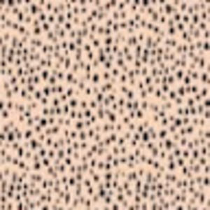 Meet your Posher, Sofia